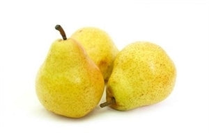 BARTLETT Pear (bare root)