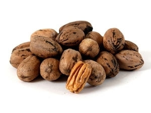 DESIRABLE Pecan (bare root)