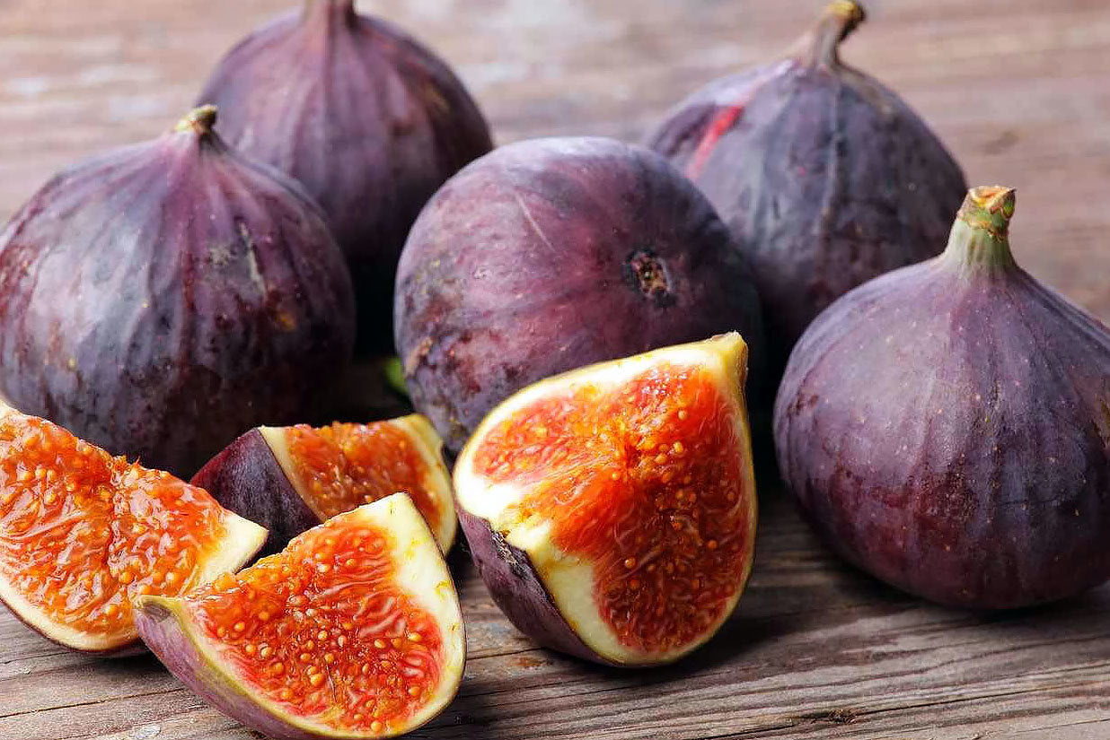 Figs – Bottoms Nursery