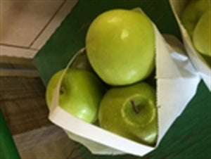 GRANNY SMITH Apple (bare root)