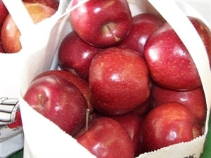 RED DELICIOUS Apple (bare root)