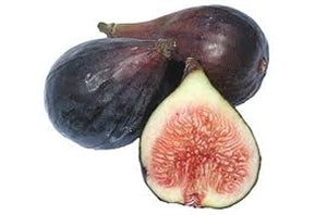 BLACK MISSION 
(bare root)