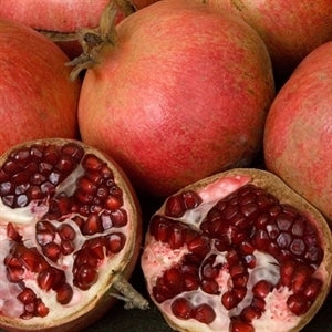 Wonderful Pomegranate (1 Gallon Container/Trade Gallon)