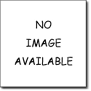 ALBEMARLE Muscadine  ( 1 Gallon Container/Trade Gallon)